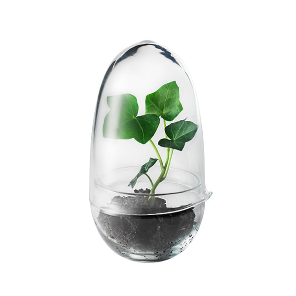 Grow mini greenhouse by Design House Stockholm #S #