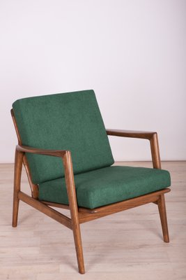 300-139 Armchair from Swarzędzka Factory, 1960s-NIT-998154