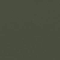 Cactus 30081