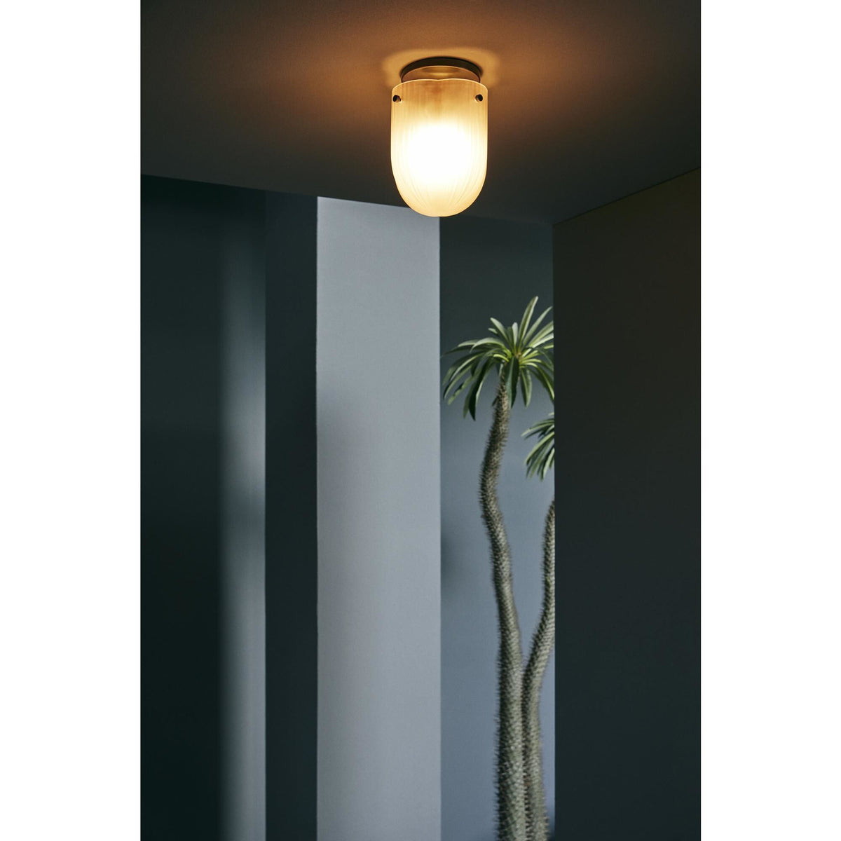 Seine Ceiling Light Burnished Brass/ Coral