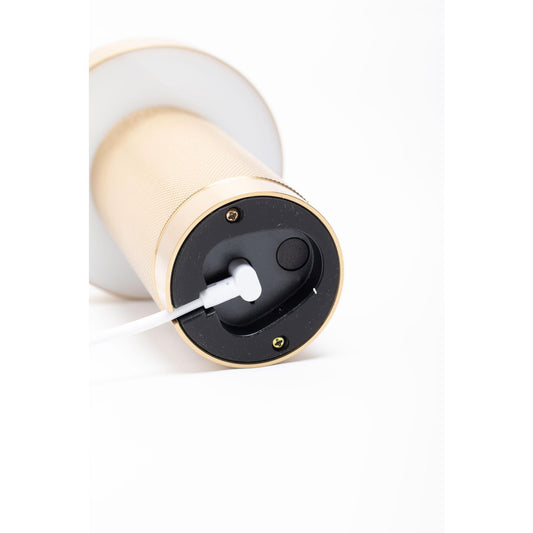 Edgeform Holster Portable Lamp Brass