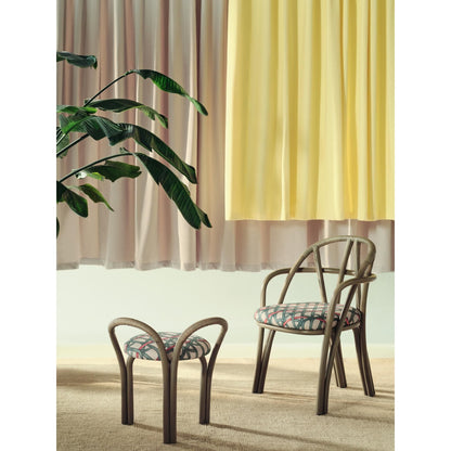 Bistra Dining Chair With Armrests Olive Stained Rattan/Fustagno Limonta 003