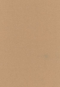 Tonus 4 | 0224