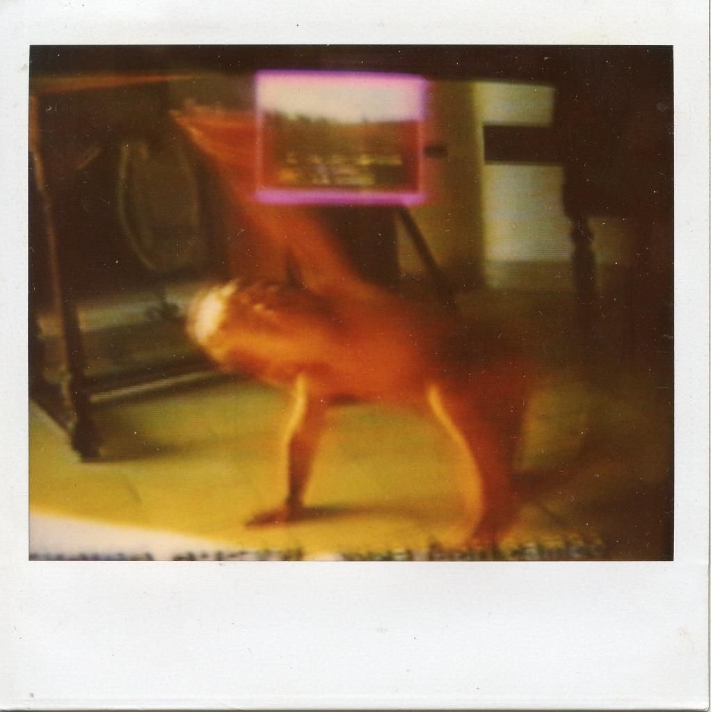 5 Polaroids by Mario Schifano - 1990s 1990s