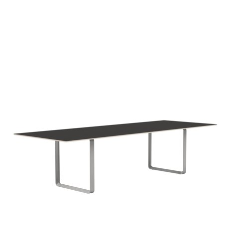70/70 Table (295 x 108 cm)