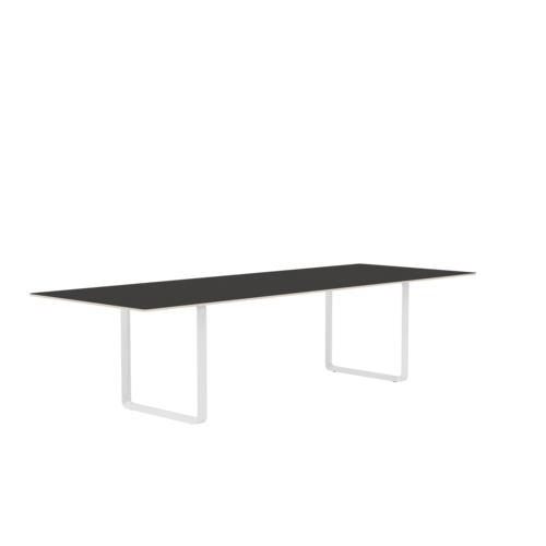 70/70 Table (295 x 108 cm)
