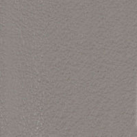 Dove Grey