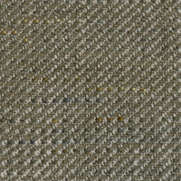 SP81