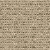 R117 col. 020