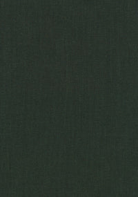 Canvas 2 | 0996