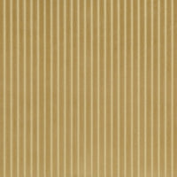 PAGLIA