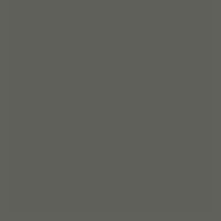 H06 GRIGIO TOPO