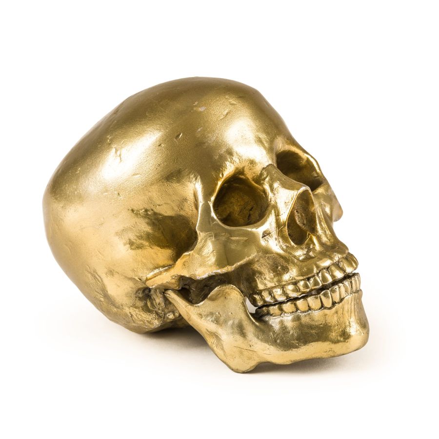 Aluminium Decorative Object Wunderkrammer Human Skull by Seletti