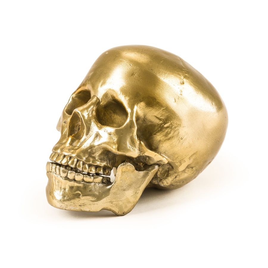 Aluminium Decorative Object Wunderkrammer Human Skull by Seletti