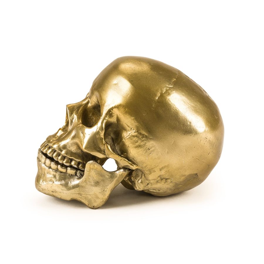 Aluminium Decorative Object Wunderkrammer Human Skull by Seletti