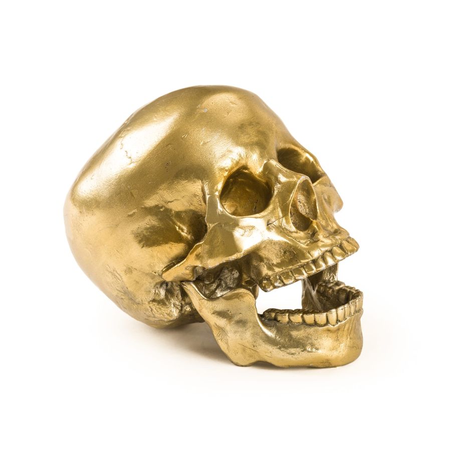 Aluminium Decorative Object Wunderkrammer Human Skull by Seletti