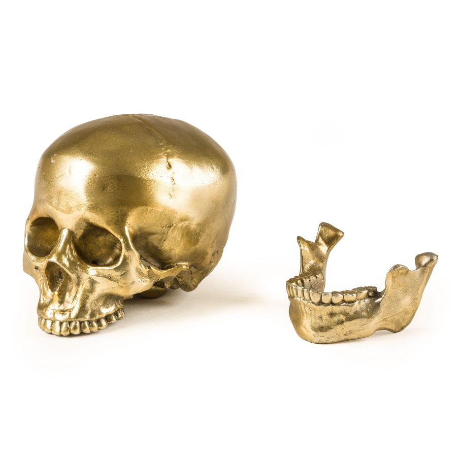 Aluminium Decorative Object Wunderkrammer Human Skull by Seletti