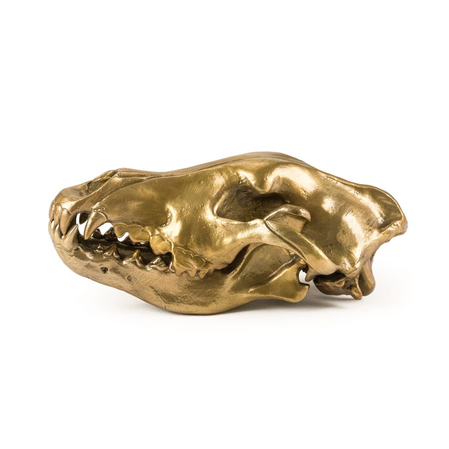 Aluminium Decorative Object Wunderkrammer Wolf Skull by Seletti