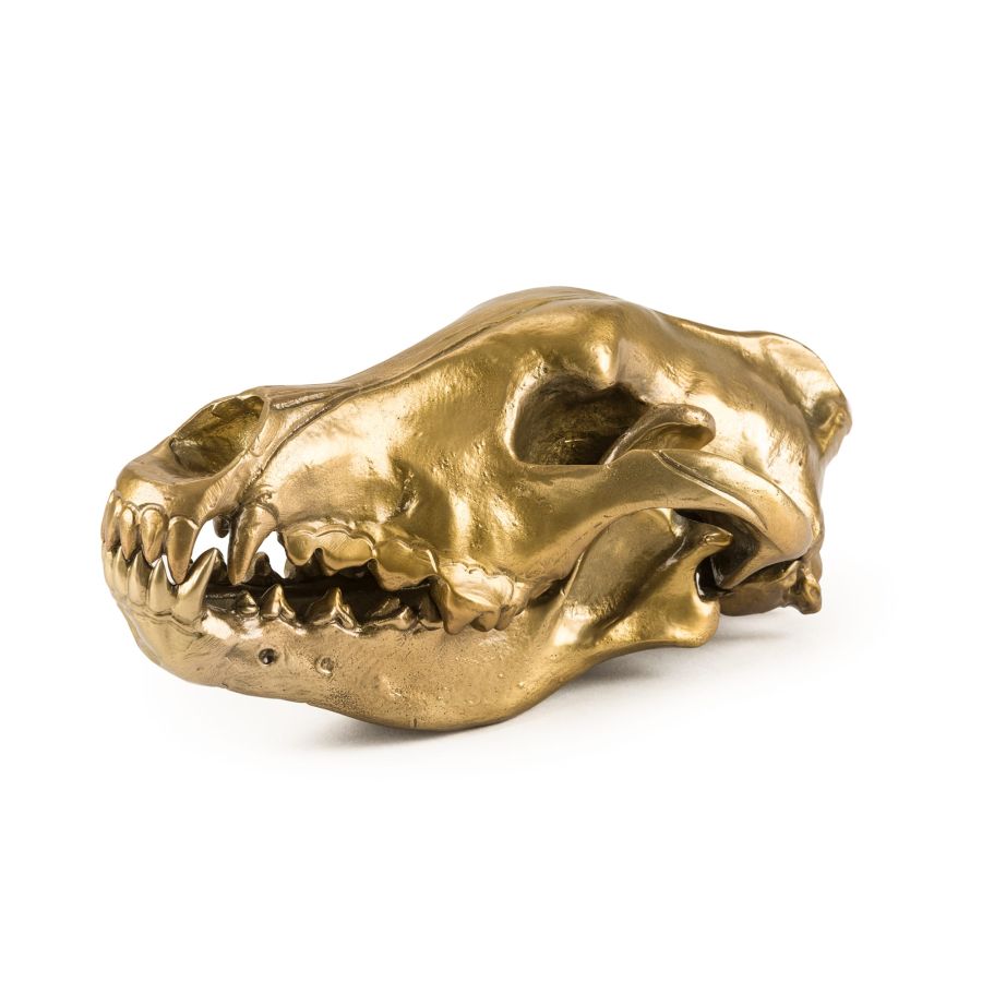 Aluminium Decorative Object Wunderkrammer Wolf Skull by Seletti