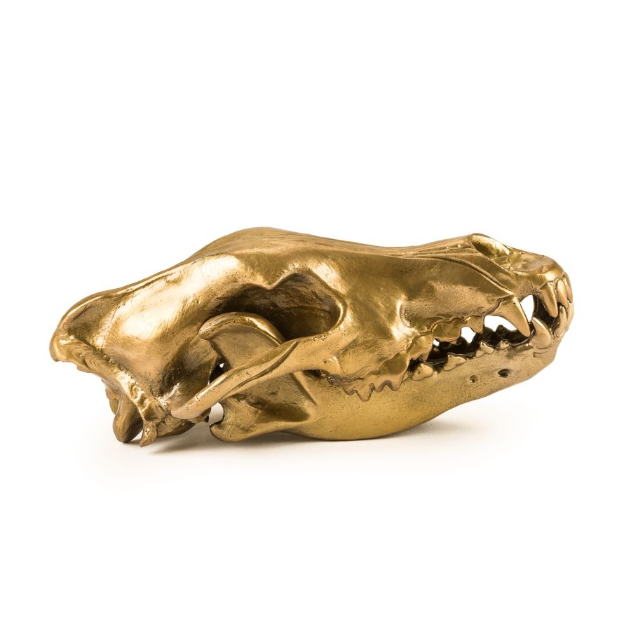 Aluminium Decorative Object Wunderkrammer Wolf Skull by Seletti