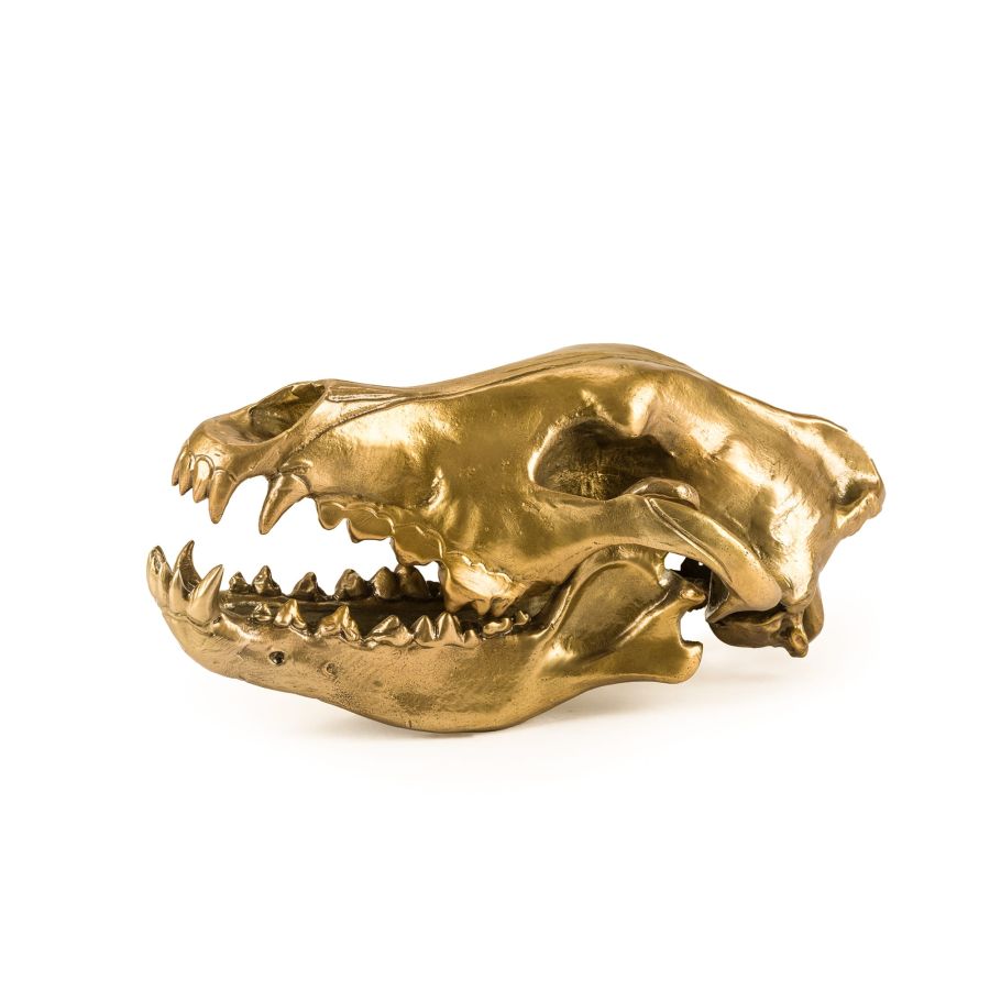 Aluminium Decorative Object Wunderkrammer Wolf Skull by Seletti