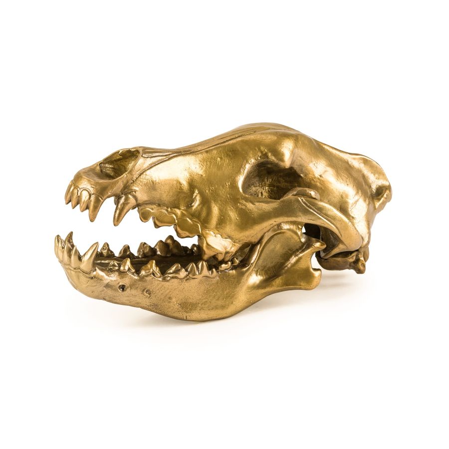 Aluminium Decorative Object Wunderkrammer Wolf Skull by Seletti