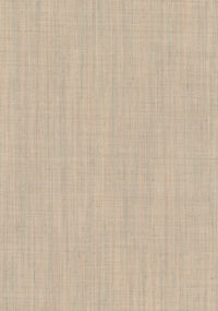 Canvas 2 | 0216