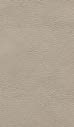 Fard silver 2302