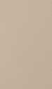 Fard tan 2305