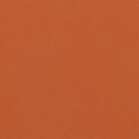 Coral (STI522)