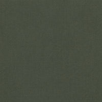 sage (STI922)