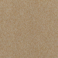 Beige Mustard (VAN413)