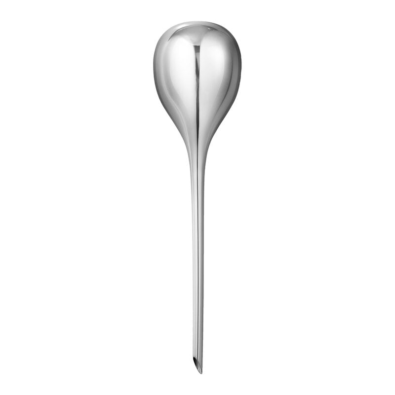 Terra watering globe by Georg Jensen #polished steel #