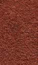 Harmony sienna 310