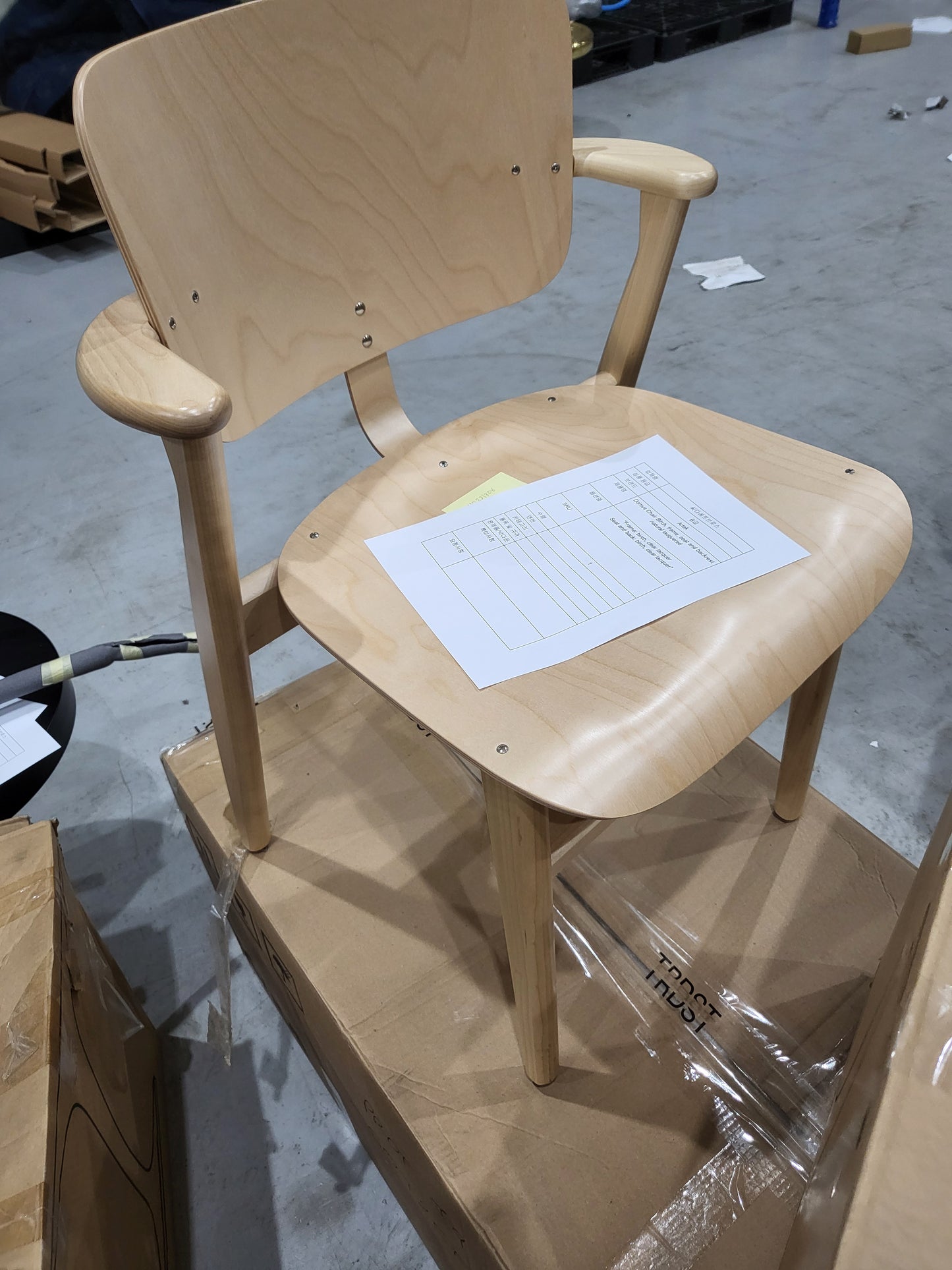 [국내재고/B급] Domus Chair / Frame-Birch Natural Lacquered