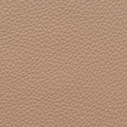 L1L - Buckskin