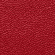 L2V - Siam