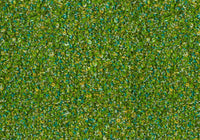 MS001