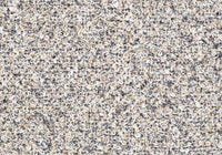 MS002