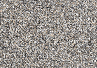 MS004
