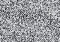MS009