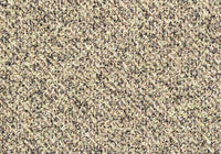 MS013