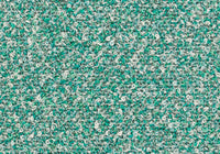 MS020