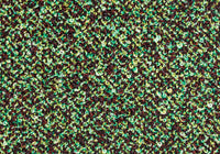 MS029