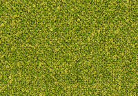 MS039