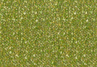 MS040