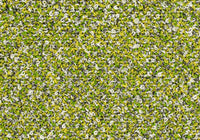 MS041