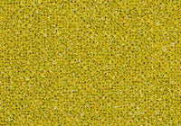 MS043