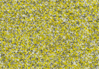 MS047
