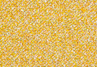 MS054